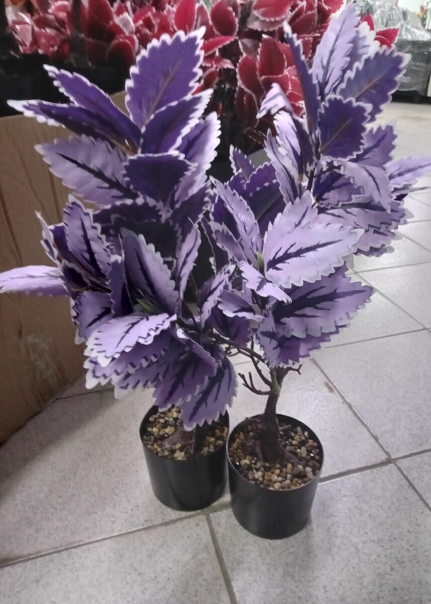 Plantes artificielles colorées