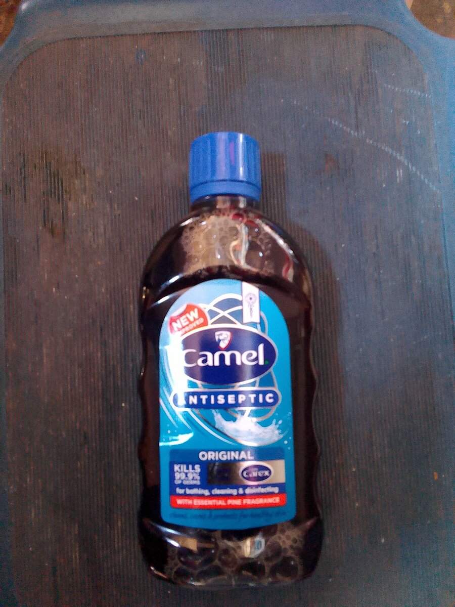 Camel Antiseptic 250ml