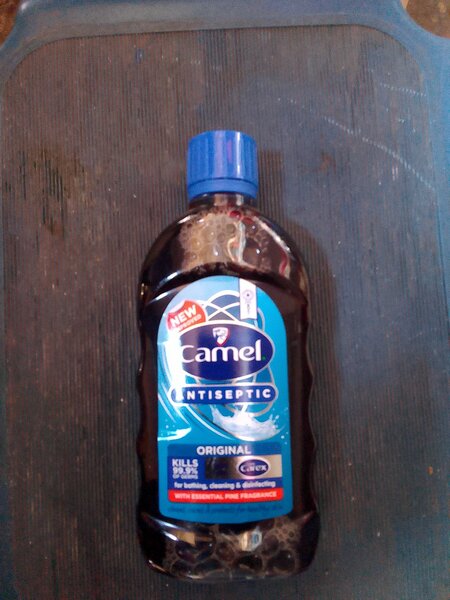 Camel Antiseptic 250ml