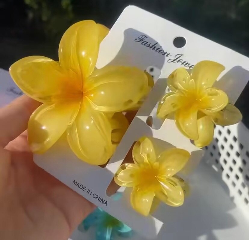 Pinces à cheveux fleurs colorées