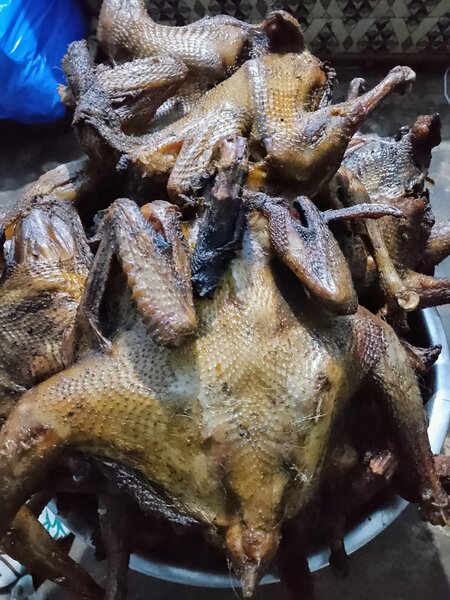 (Poulet )pondeuse fumé