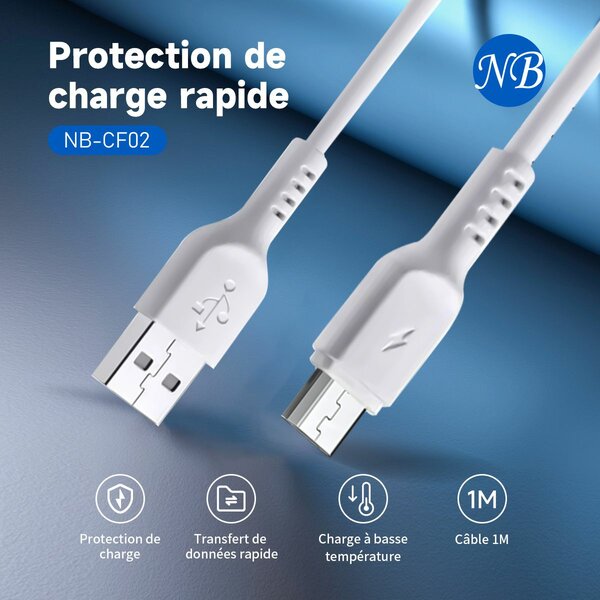 Câble Micro USB Chargement Rapide