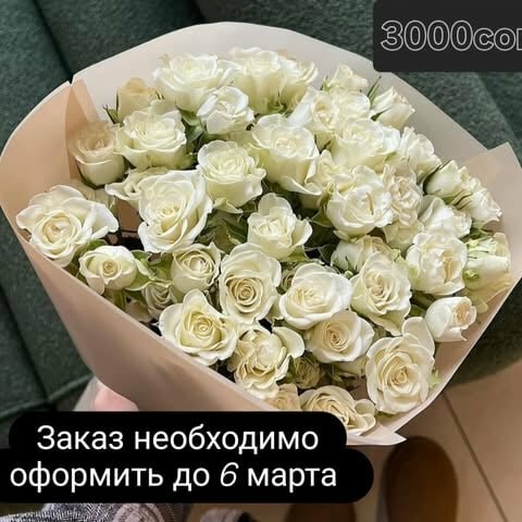 спрейроза бишкек