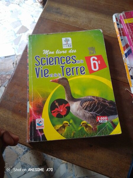 Livres scolaires 6ème