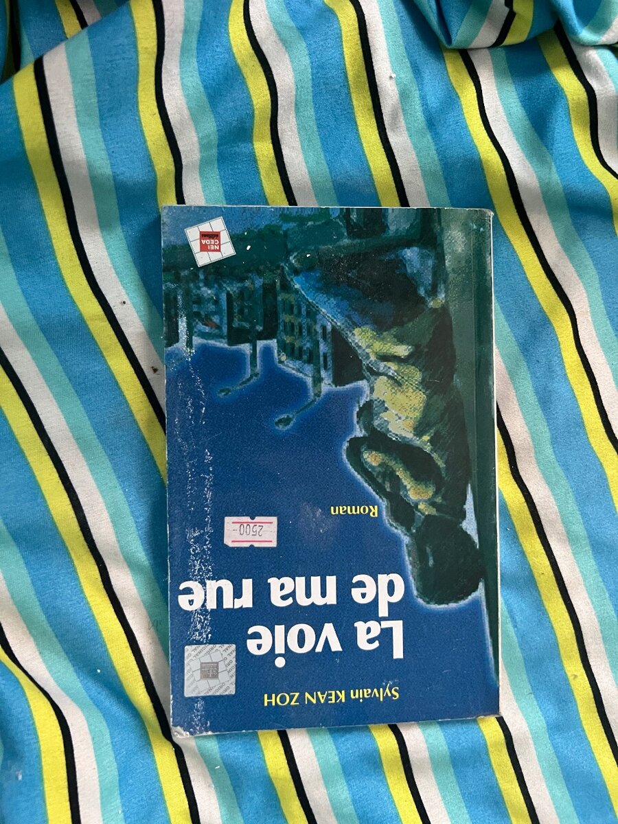 Assorted Books Collection