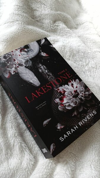 Lakestone Tome 2 Roman EBOOK