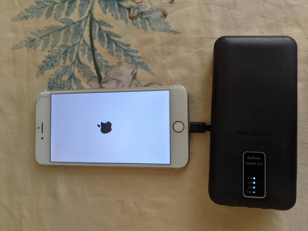 iPhone 6S Plus Rose Gold