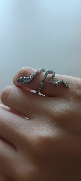 Кольцо змея