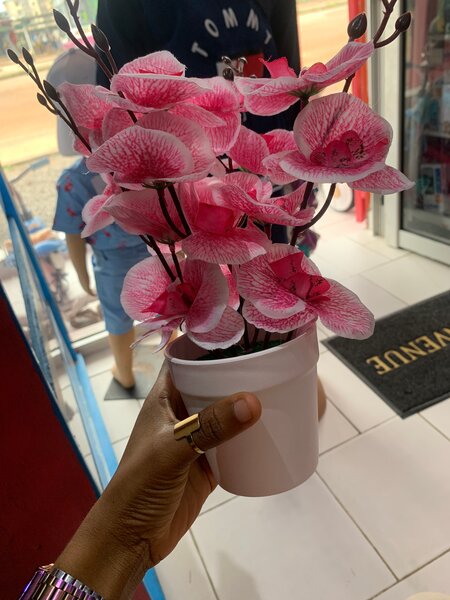 Boutique crème 🍀🤭🎉