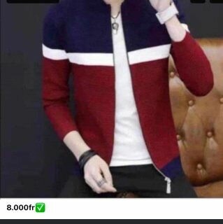 Pulls élégants pour hommes