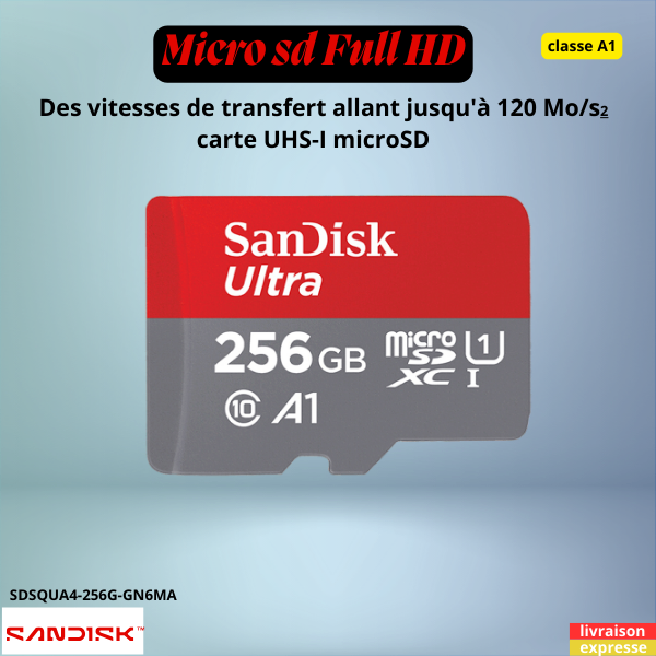 Micro sd Sandisk 256Go