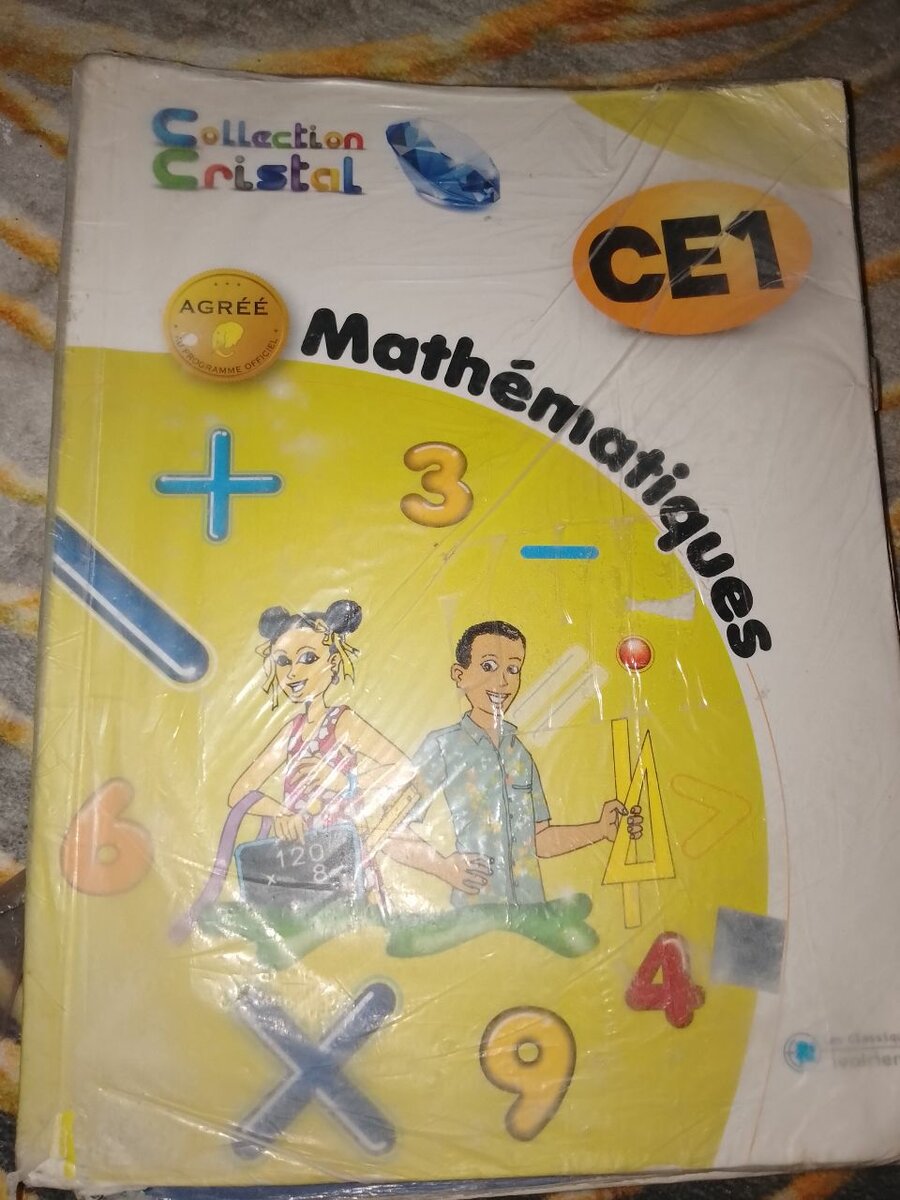 Lot de manuels scolaires CE1 et CM1