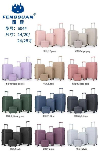 Чемоданы на колесах