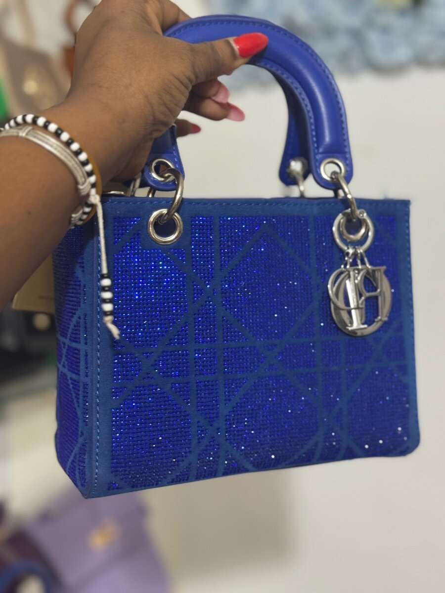 Sacs à main élégants brillants