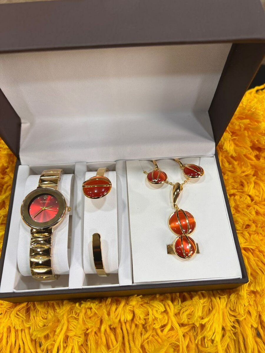 Ensemble Bijoux et Montre Luxe