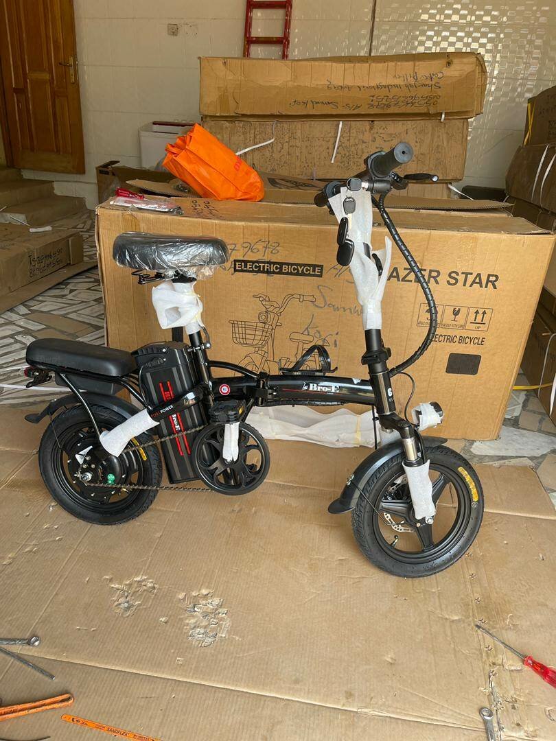 Folding Electric Bike,400W