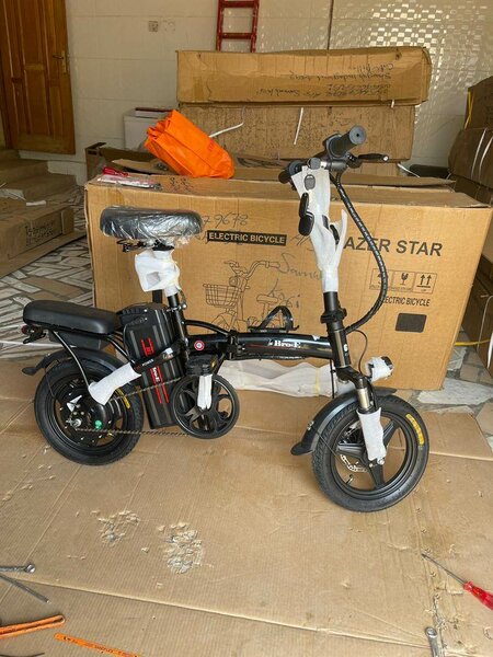 Folding Electric Bike,400W