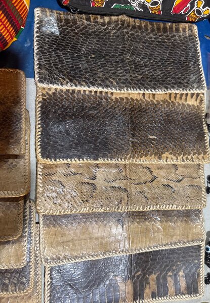 Bedou en peau de python