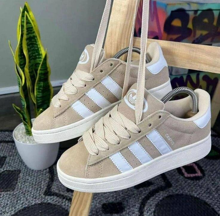Adidas campus original