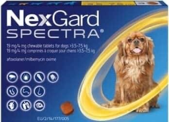Nexgard en détail