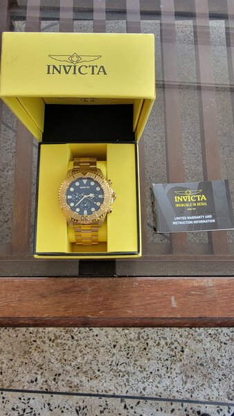 Invicta Gold Mens Pro Diver watch 200M