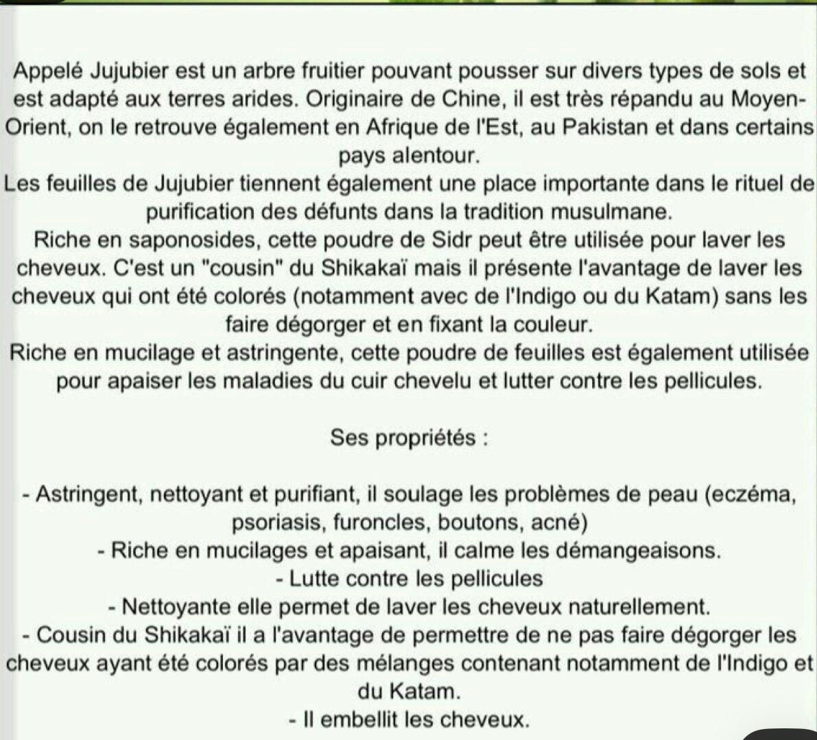 Poudre de Sidr Purifiante