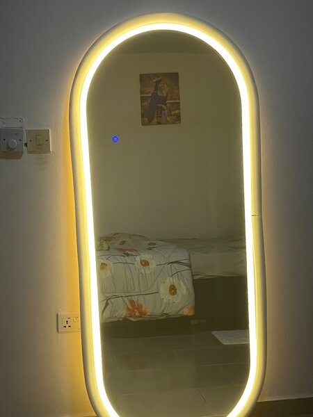 LED light salon mirror