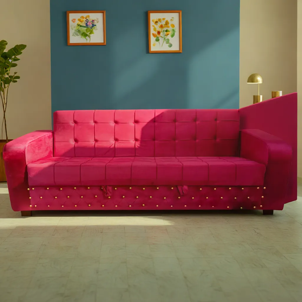 Designer Sofa Cum Beds