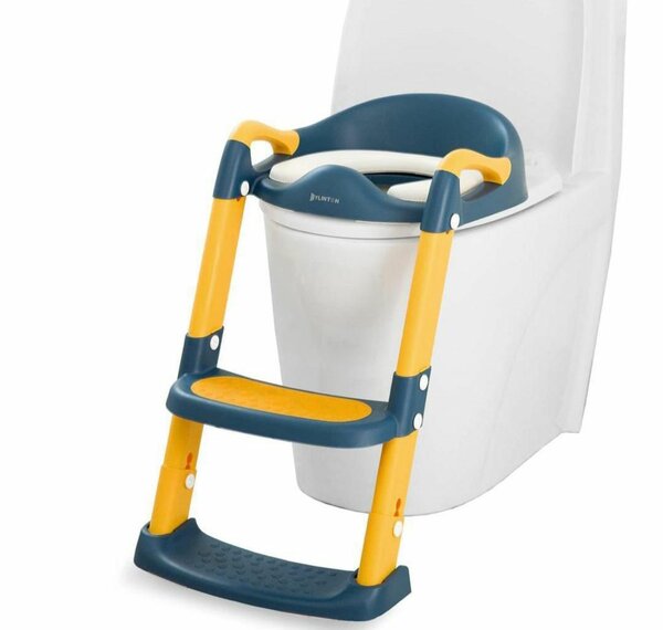 Toilet seat ladder