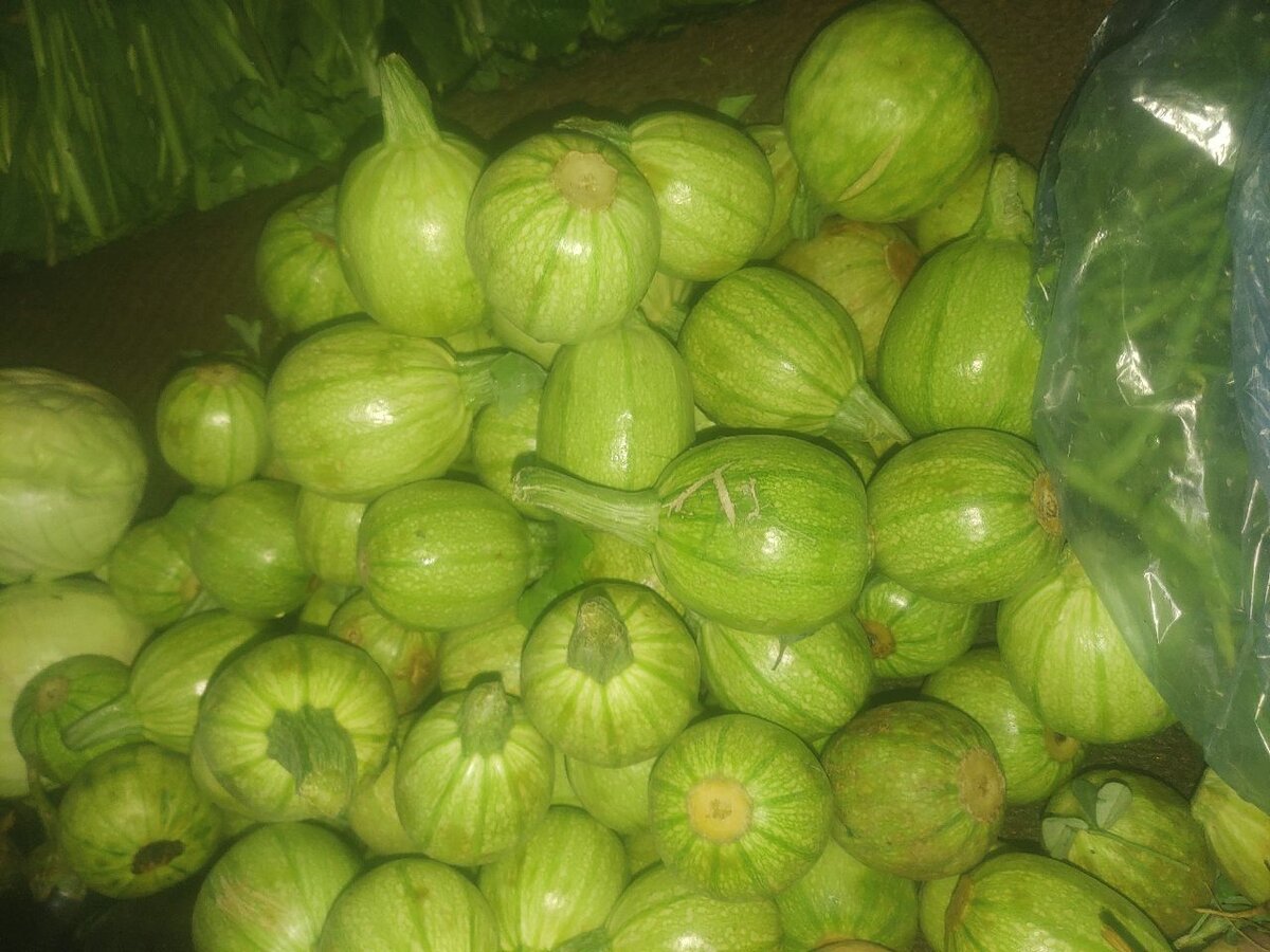 Tendia-1kg