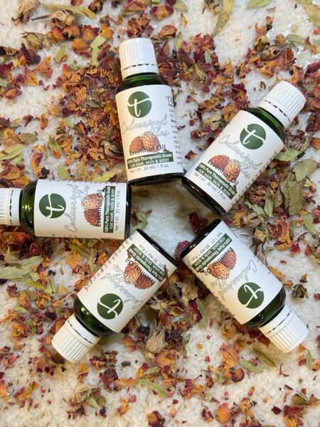 Cedarwood Essential Oil