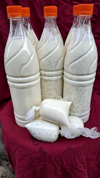Lait caillé et deguè