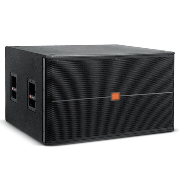 Puissant Subwoofer Professionnel