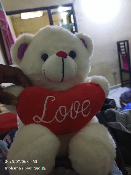 Nounours avec coeur