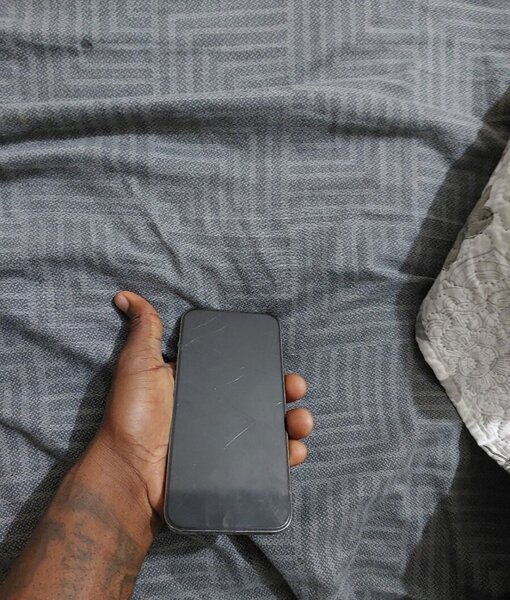 iPhone 13 Pro Max Gris