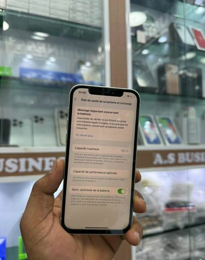 Smartphone Apple état excellent