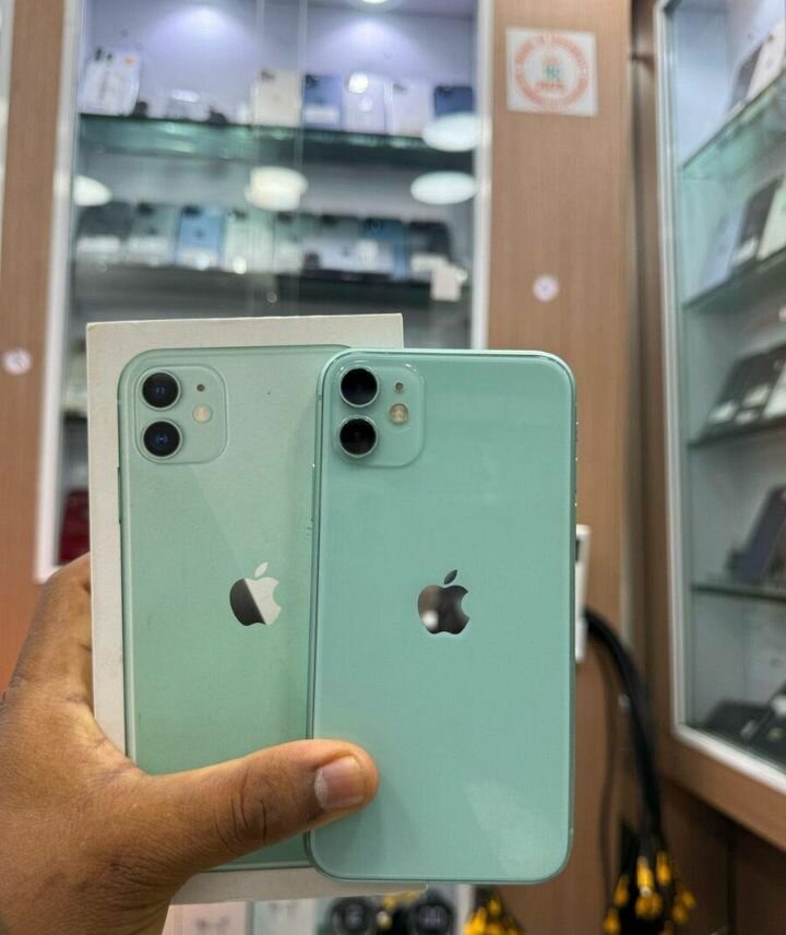 iPhone 11 Vert 64Go