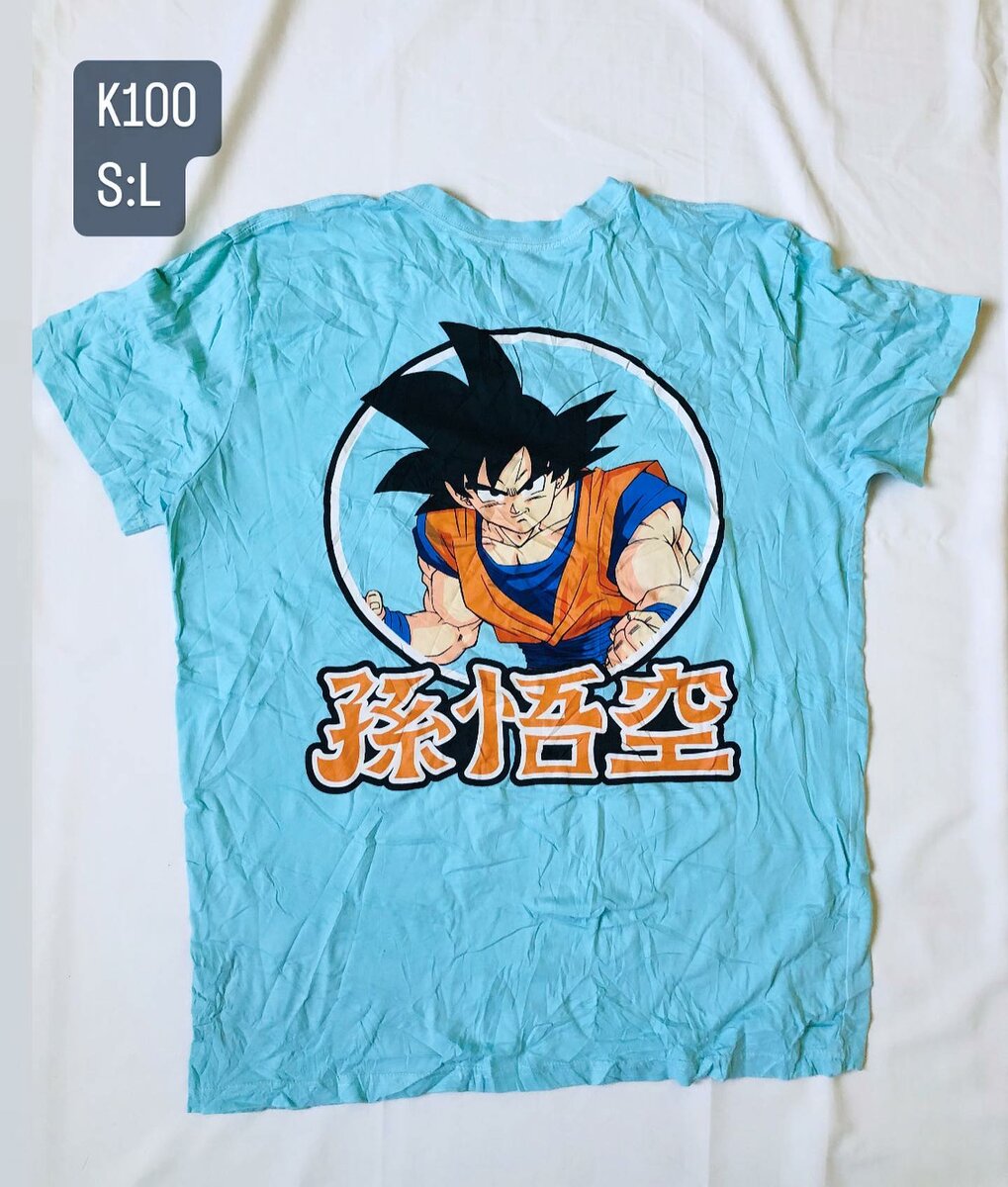 Beautiful and stylish men's T-shirt with print