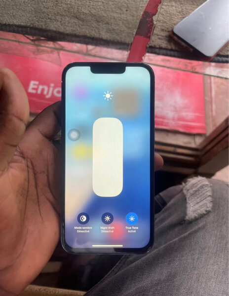 iPhone 13 Pro Max 256GB Gris