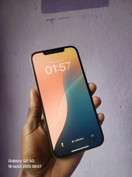 iPhone 12 pro