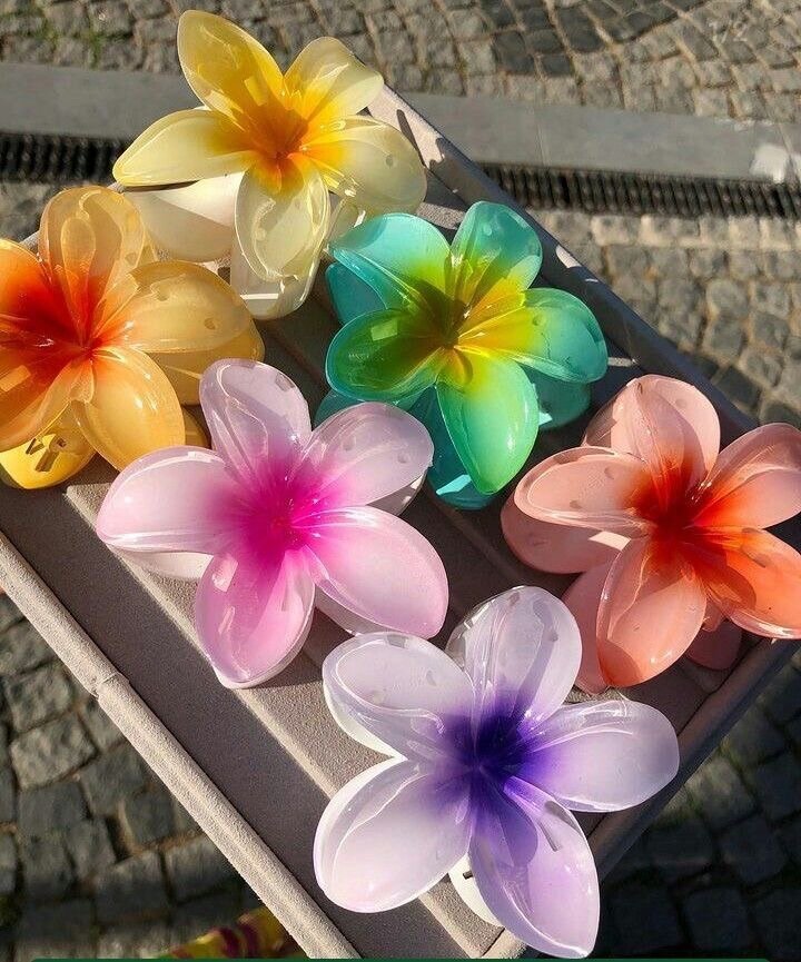 Clips à cheveux fleurs colorées