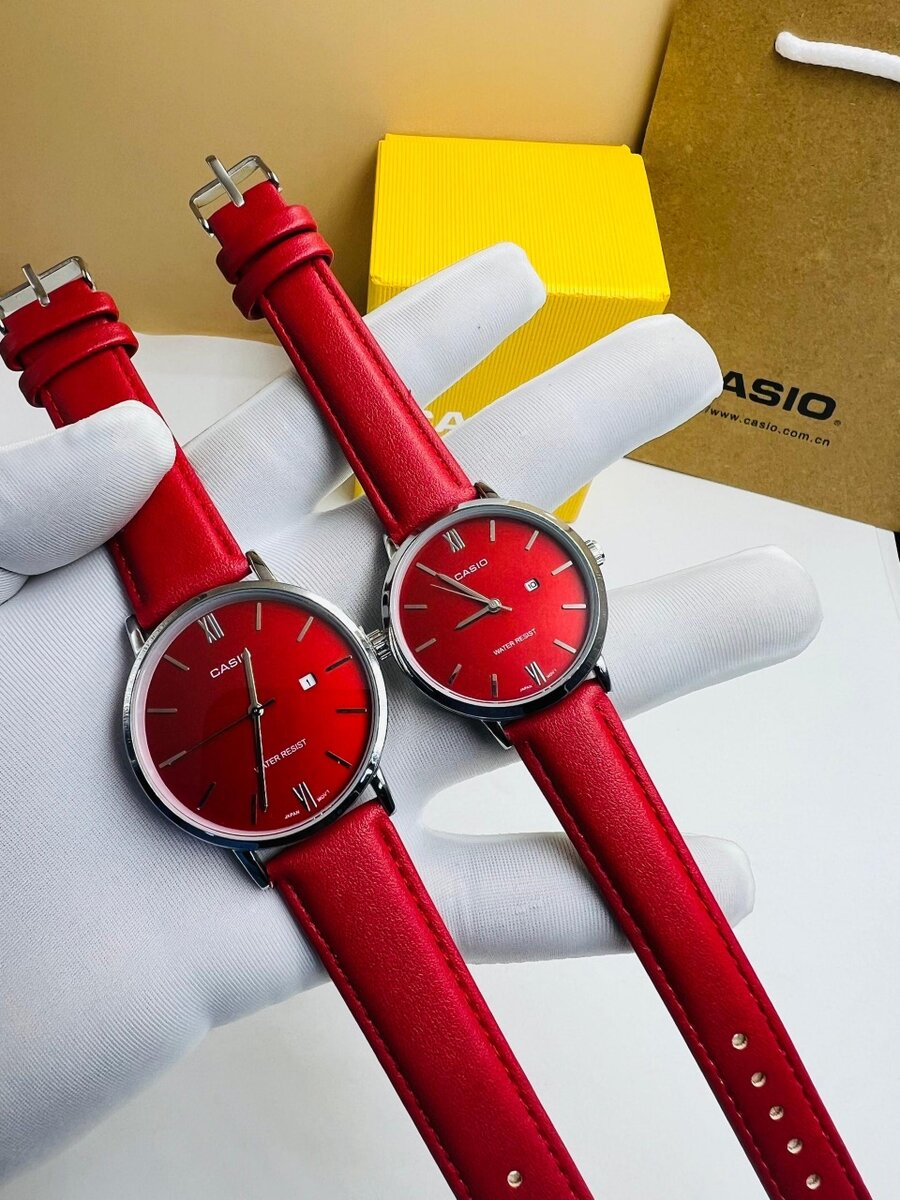 Montre pour Couple ( CASIO )