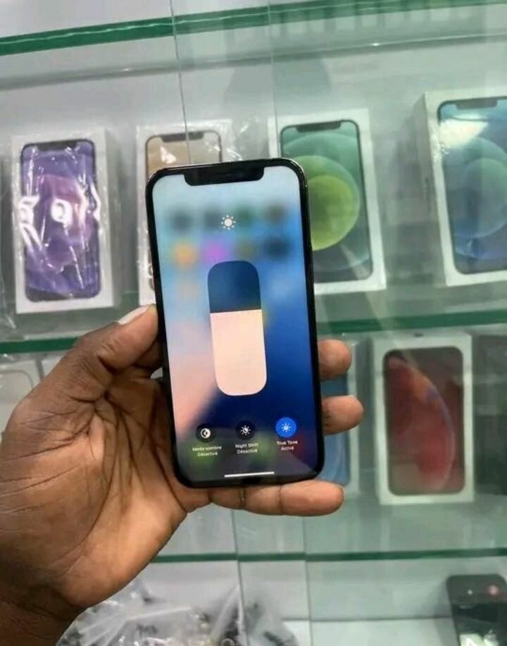 iPhone 12 Pro Max Gris