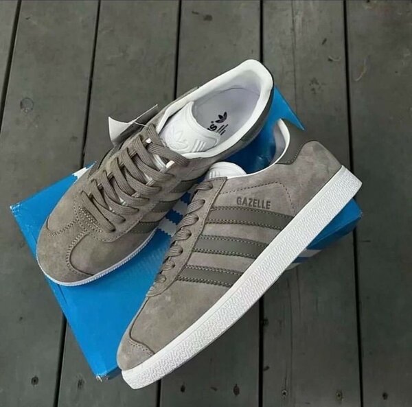 Adidas gazelle (ash)
