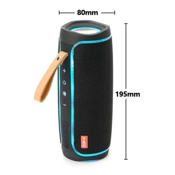 Enceinte Bluetooth T&G 287