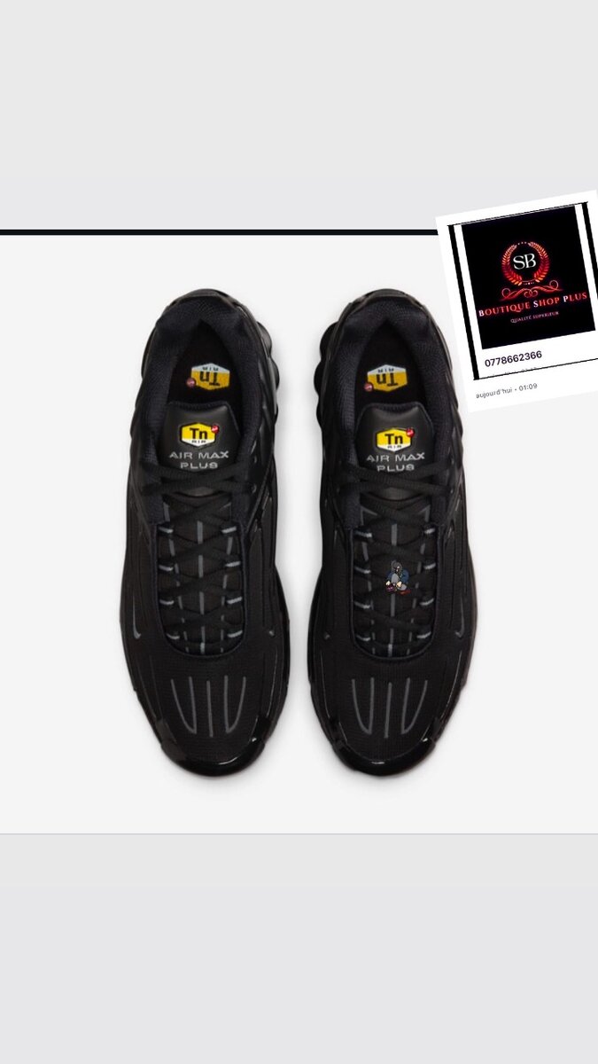 Basket Nike tn plus authentique avec sa boîte