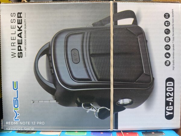 YG-A20D Wireless Speaker
