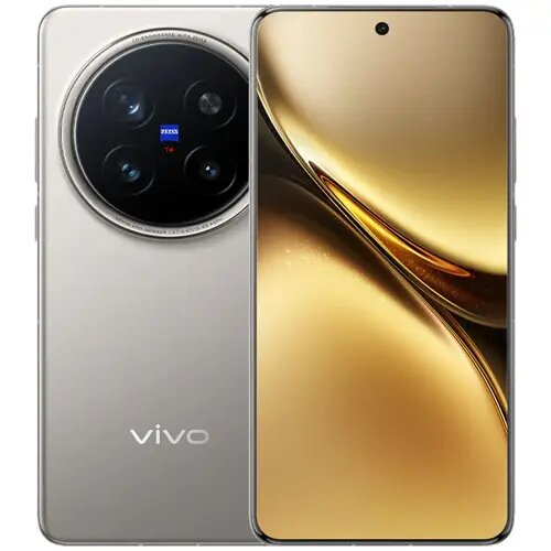 Vivo x200 pro Titanium gray