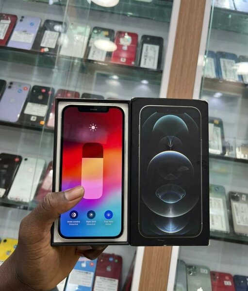 iPhone 13 Pro Max 128 Go