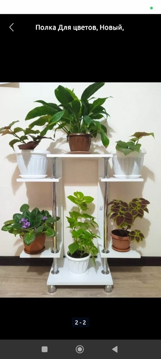 Полка для цветов новый